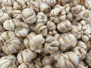 A close-up view of a large pile of fresh, whole garlic bulbs, showcasing their layered skins and segmented cloves.