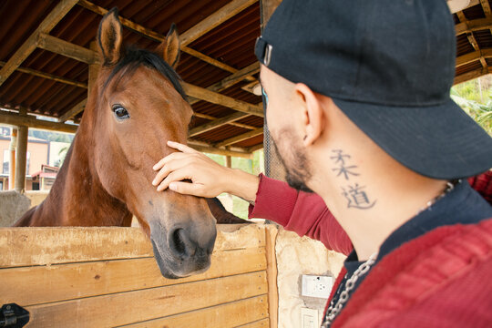 Man caressing horse nose at it's stable