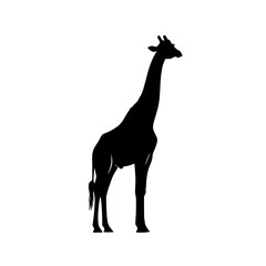 giraffe side profile wildlife vector