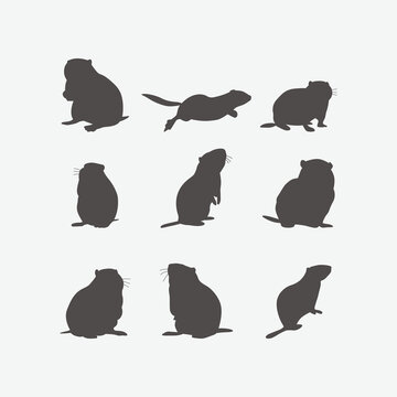 Groundhog and Marmot Silhouettes Set