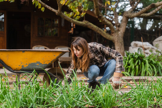 Young Woman With Wheel Barrow, Clearing The Nursery