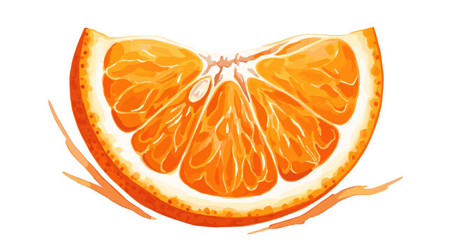 Vibrant orange fruit slice illustration isolated on white