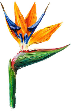 Exotic Bird of Paradise