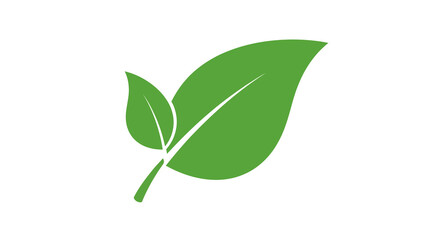 Two Green Leaves on a White Background