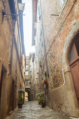 Naklejka premium Cortona, Tuscany, Italy: Narrow European street with stone buildings and plants