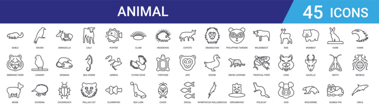 Set of 45 outline animal icons including calf, cockroach, armadillo, echidna, canary, raven, guinea pig, gazelle. Vector line icons for web and mobile apps