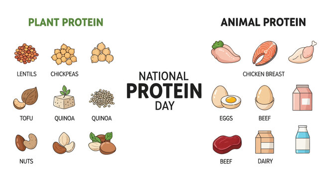 Infographic illustration for National Protein Day 2026 comparing plant-based protein sources like lentils and quinoa with animal protein sources like chicken and eggs on a white background.