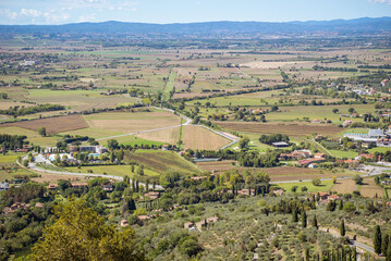 Naklejka premium Cortona, Tuscany, Italy: Tuscan landscape with rolling hills and vineyards