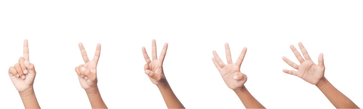 Set of human hands showing counting gestures from one to five isolated on transparent background. Concept of numbering, teaching, communication, and math symbols
