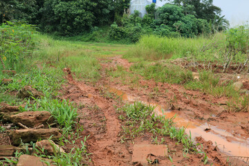 Naklejka premium Muddy trail erosion environmental impact. Rural pathway after rainfall season. Soil degradation terrain climate effect. Wet ground texture natural disaster. 