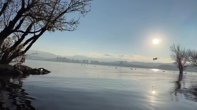 Wide shot of Erhai Lake in Dali at sunrise. Calm water reflecting the sun, with a lone tree in the foreground and the Cangshan mountain range and city skyline in the distance.