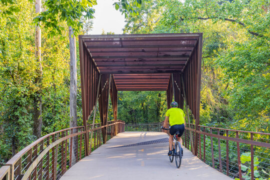 Cyclist rides through forested covered bridge on sunny day.
