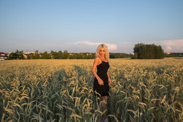 Fototapeta premium Female model with curly blonde hair wearing a black dress stands in a field of wheat during sunset, with soft clouds and a colorful sky in the background