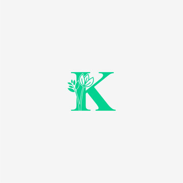 Luxury Floral Letter K Logo Elegant Botanical Monogram Serif Vector