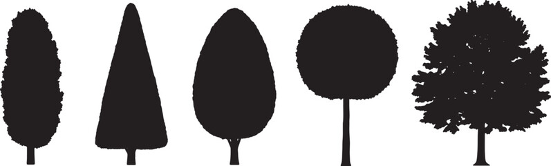 Black Solid Avenue Linden Tree Silhouettes Set of Six on White Background © ShahvezGrhi 