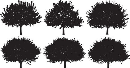 Black Solid Blooming Crabapple Tree Silhouettes Set of Six on White Background © ShahvezGrhi 