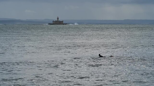 Surfer paddling across ocean near Bugio lighthouse