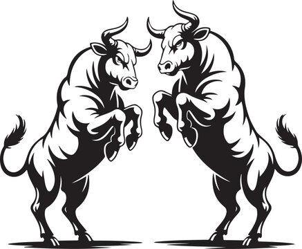 A traditional bullfight has two bulls vector art silhouette