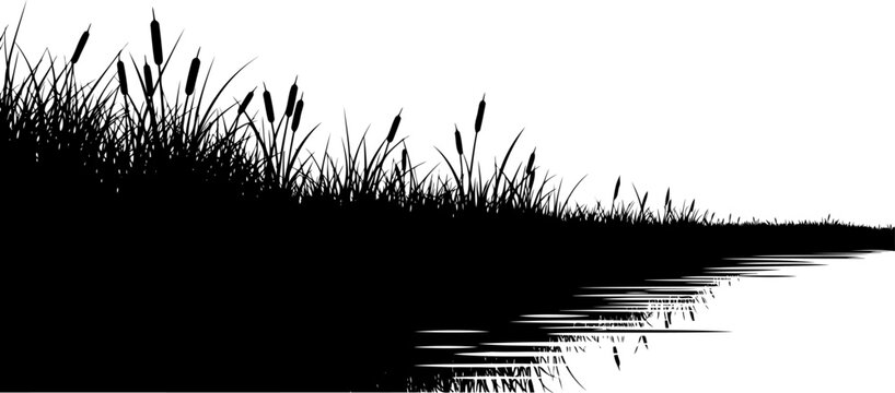 Bulrush and marsh grass silhouette reflecting on calm water surface