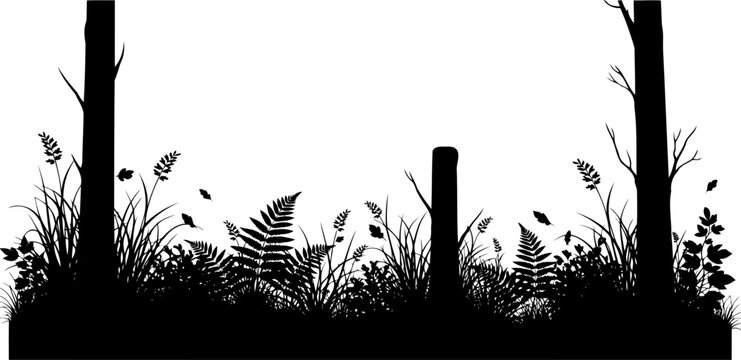 Forest floor with ferns and grass silhouette