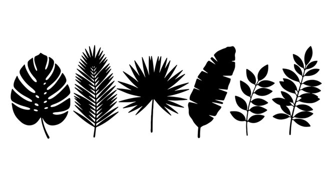 Tropical leaf silhouettes collection. Includes palm, monstera, and fern leaves. Created in minimalist style with black and white color palette.
