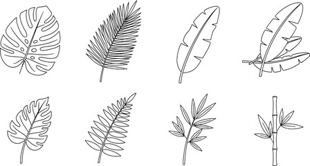Collection of tropical leaf outlines including monstera palm and banana leaves simple vector illustrations for nature-themed design projects © Muhammad