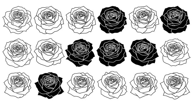 black and white rose vector set elegant outline and silhouette floral illustrations for graphic design logos tattoo art.