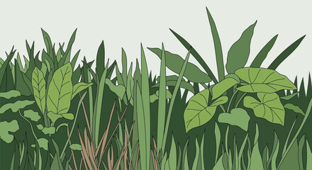 Obraz premium Lush Green Foliage and Grasses in a Dense Botanical Garden