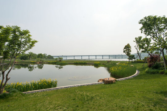 Huashan Wetland Park - Natural Landscape with Modern Bridge and Pond