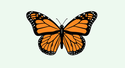 Obraz premium Monarch Butterfly with Orange Wings and Black Veins on Light Background