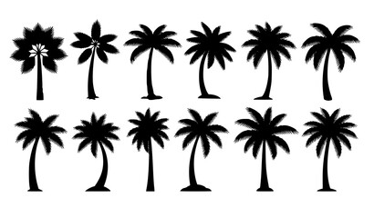 Fototapeta premium Tropical Palm Tree Silhouette Collection in Monochrome Vector Botanical Set