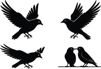 Obraz premium Bird silhouette collection, flying crow raven poses, wildlife animal vector illustration, isolated nature design element, avian icon set