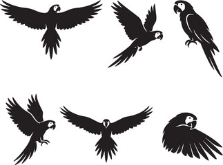 Obraz premium Parrot Silhouette Set – Flying Macaw Bird Vector Icons Isolated on White Background