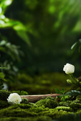 High Resolution Nature Background for Product Display Photography, clean background for product and product mockup background 