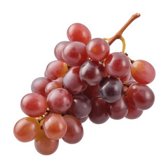 Fototapeta premium A cluster of ripe red grapes on a stem against a black background