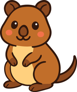 Quokka