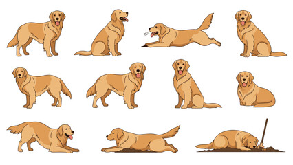 Fototapeta premium Collection of various poses and activities of a golden retriever dog including sitting, lying down, running, and digging.