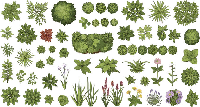 Top-down plants and flowers, shrubs, foliage clusters, colorful blossoms, botanical forms, landscaping design, garden layout, flat vector illustration