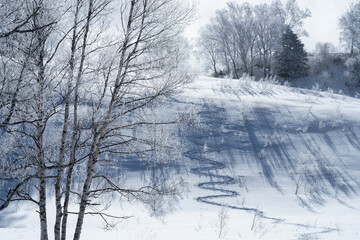 雪化粧の志賀高原と霧氷に覆われた木々