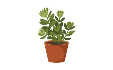Fototapeta premium A small green plant in a terracotta pot on a white background.