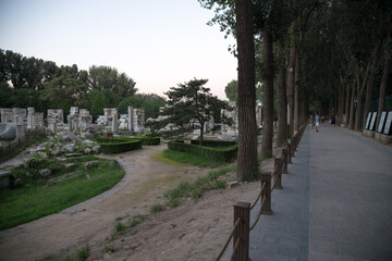 Yuanmingyuan Park Classical Ruins, Beijing - Stone Sculptures and Cypress Trees