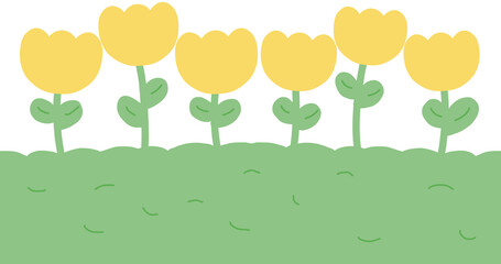 노란 튤립 꽃밭