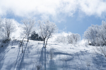 Obraz premium 雪化粧の志賀高原と霧氷に覆われた木々