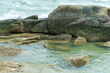 Large mossy rocks and barnacles on a rocky shoreline with turquoise ocean waves crashing in the background. A calm tidal pool sits among the stones. Natural coastal landscape scenery.