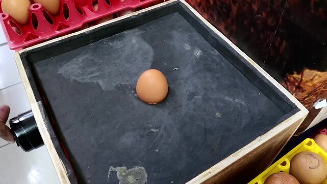 A man's hand is taking a brown chicken egg to be checked on an LED egg checking tool to find out whether the chicken egg is good or rotten without having to break it.