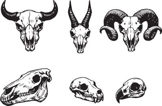 Vintage black vector illustration set featuring a tribal skull and crossbones emblem design alongside wild animal head symbols like a cat dog and cow