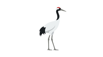 Fototapeta premium Black and white crowned cranes in nature with grey feathers and red head