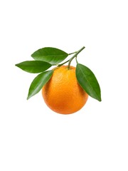 orange with leaves