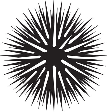 Sea Urchin Icon Vector