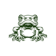 frog hand drawing vintage illustration